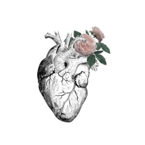 Polera - CORAZÓN ANATOMICAL