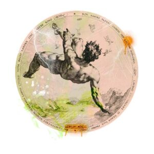 Polera - GOLTZIUS