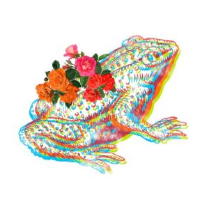 Polera - RANA TRIPPY